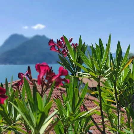 La Casa Di Emy- Larihome A74